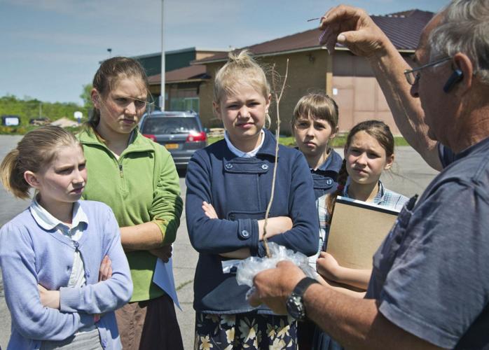 Massena Electric Department recognized as 2020 Tree Line USA recipient