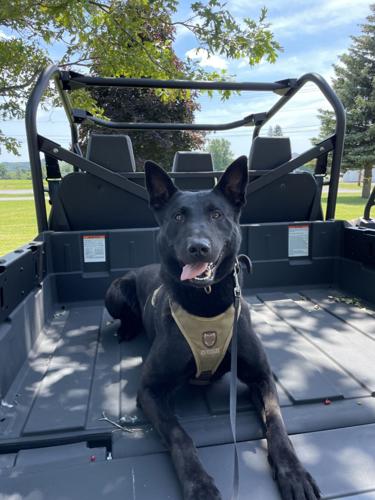 Fundraiser to support police K-9s in Calcium this weekend