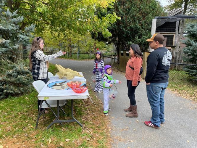 Boo at the Zoo fundraiser kicks off, continues next weekend ...