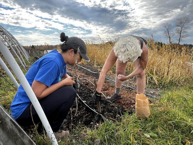 Warmer temperatures are extending farmer’s growing season Business