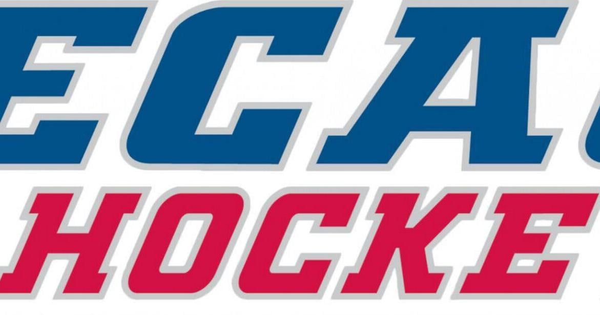 College roundup: Union shocks Clarkson in ECAC women’s hockey tournament opener