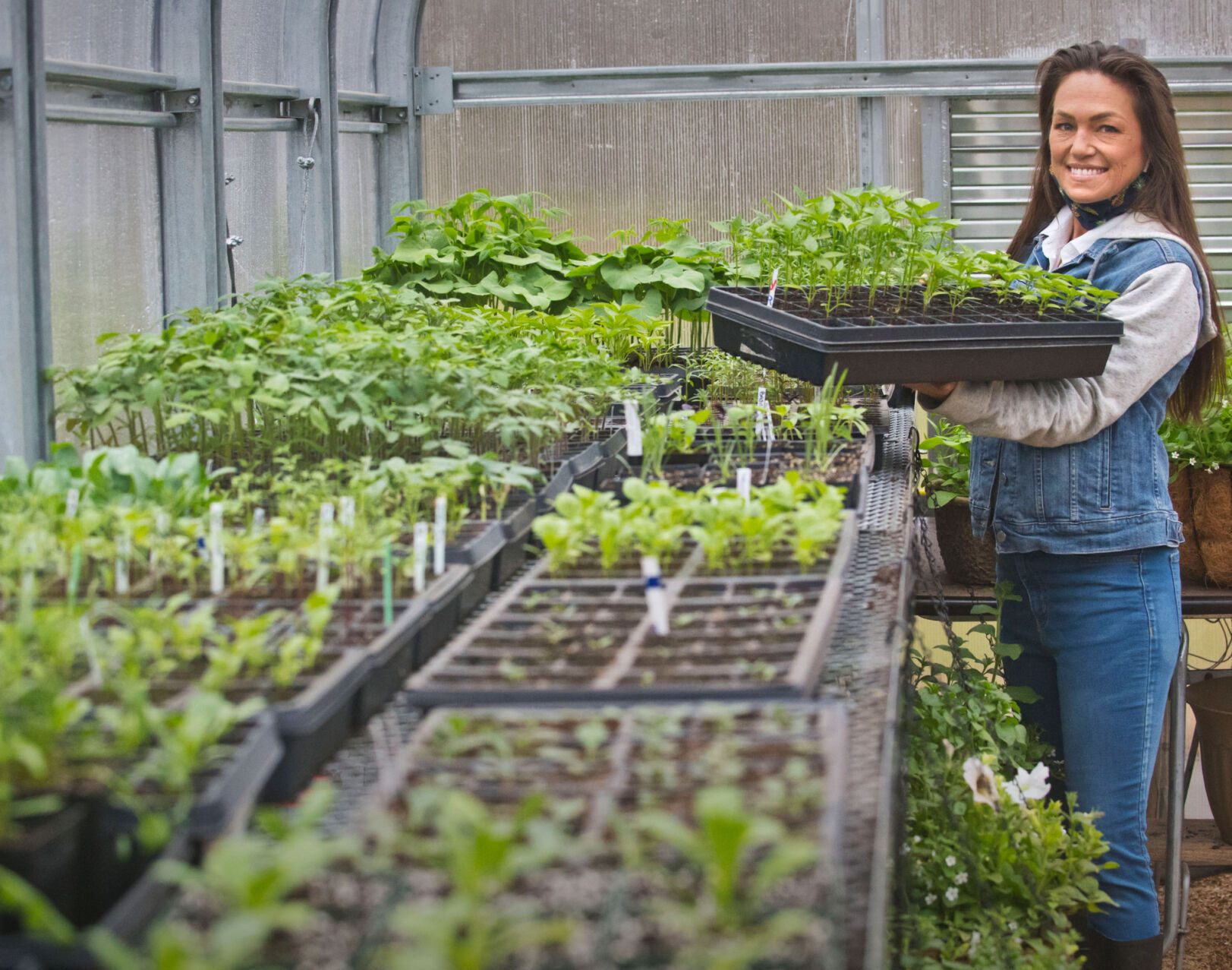Getting in the Grewve: Hermon flower farmers readying for second season - Vimarsana News