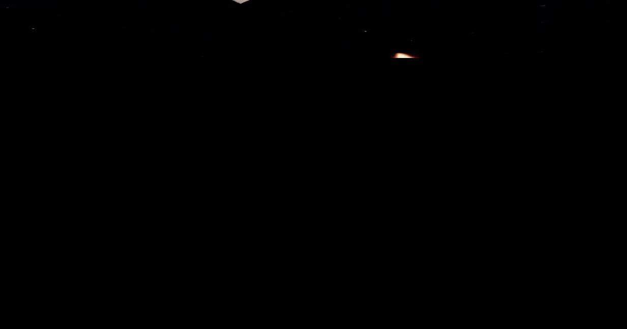 Elma J. Michalzuk Obituaries