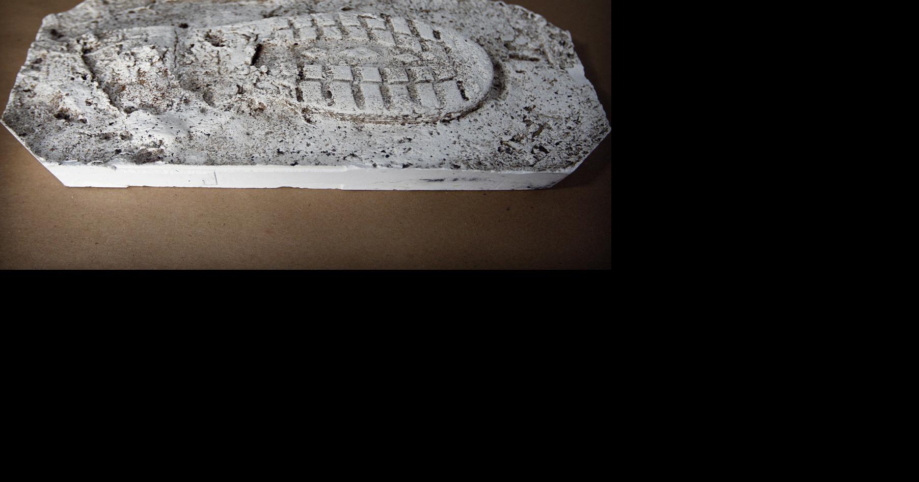ARCHAEOLOGISTS OF EVIDENCE | News | nny360.com