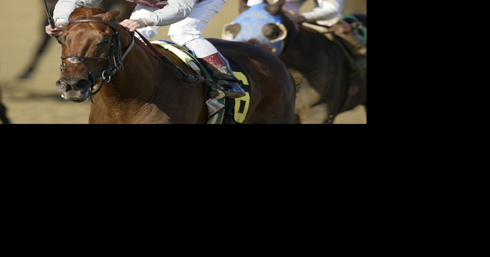 Horse racing 20 years ago, Funny Cide put Sackets Harbor on horse