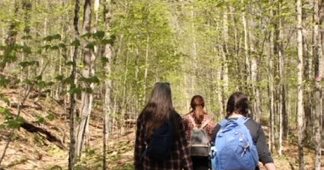 Ontario Bays Initiative invites you to take a deep dive into Downybrook Refuge - Vimarsana News