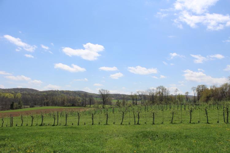 Farmers place hopes in land trust News