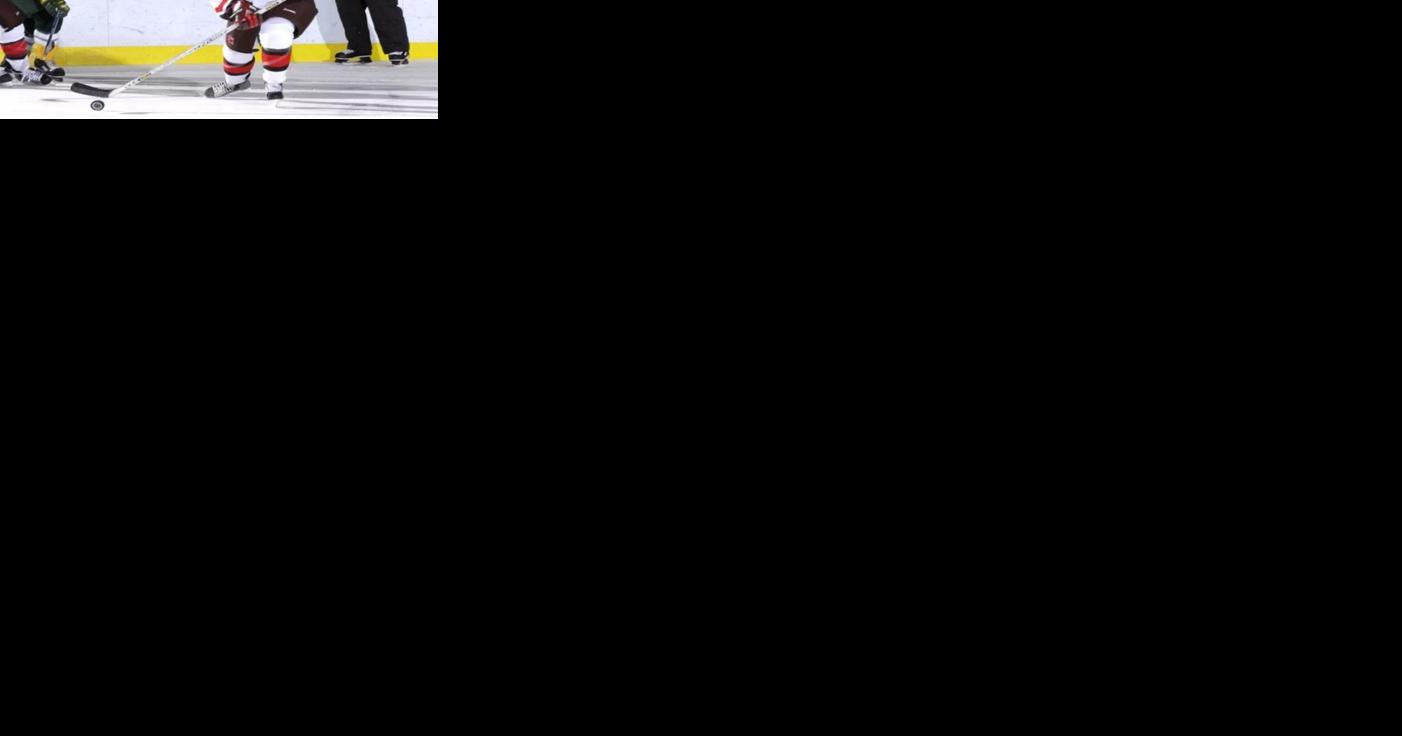 Local hockey: Three north country natives, Clarkson legend part of State Hall of Fame class