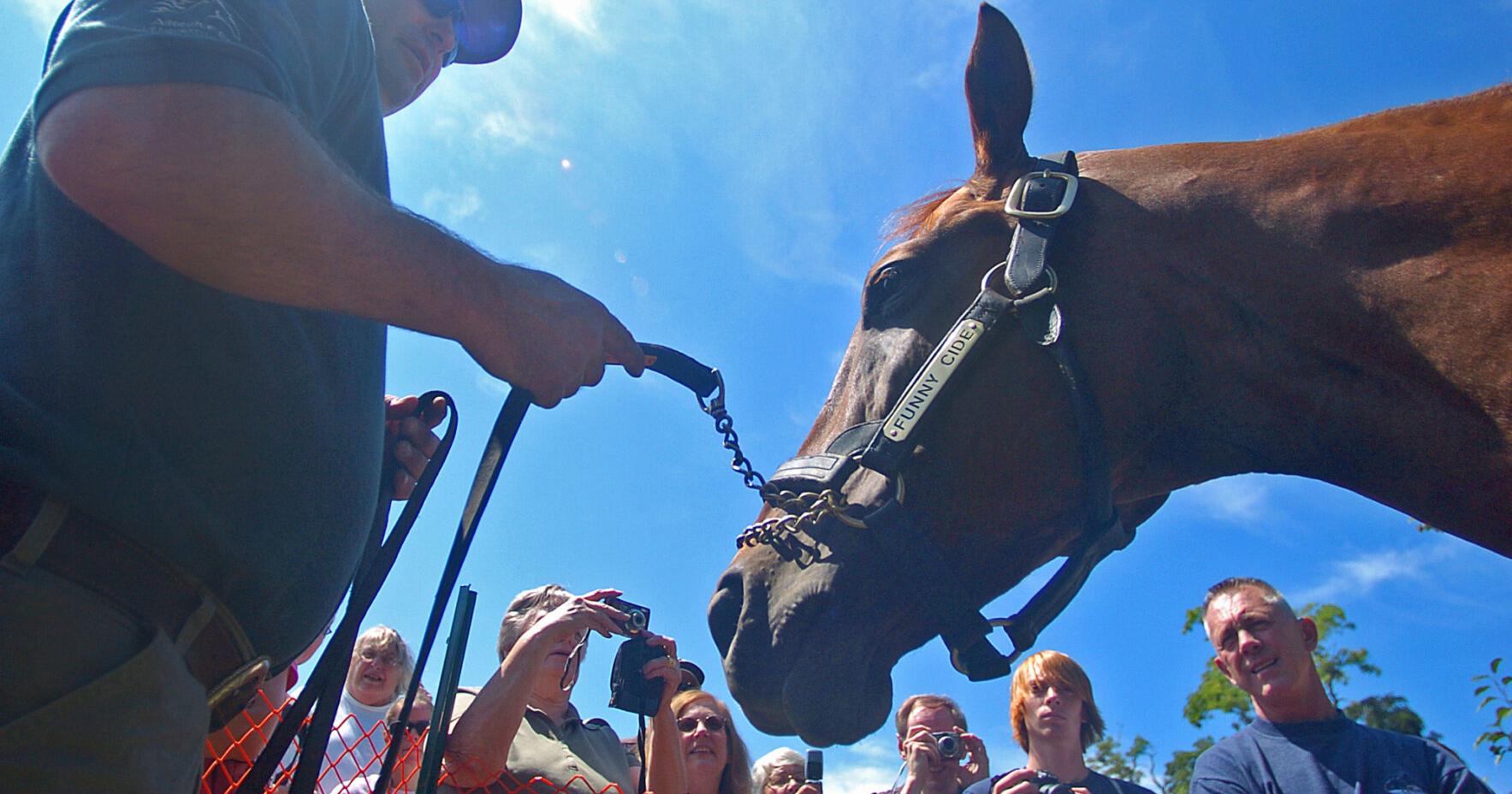Funny Cide, the thoroughbred that put Sackets Harbor on the horse racing map, dies at age 23 - Vimarsana News