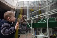 Salmon Run Mall gizmo has mesmerized patrons since 1986