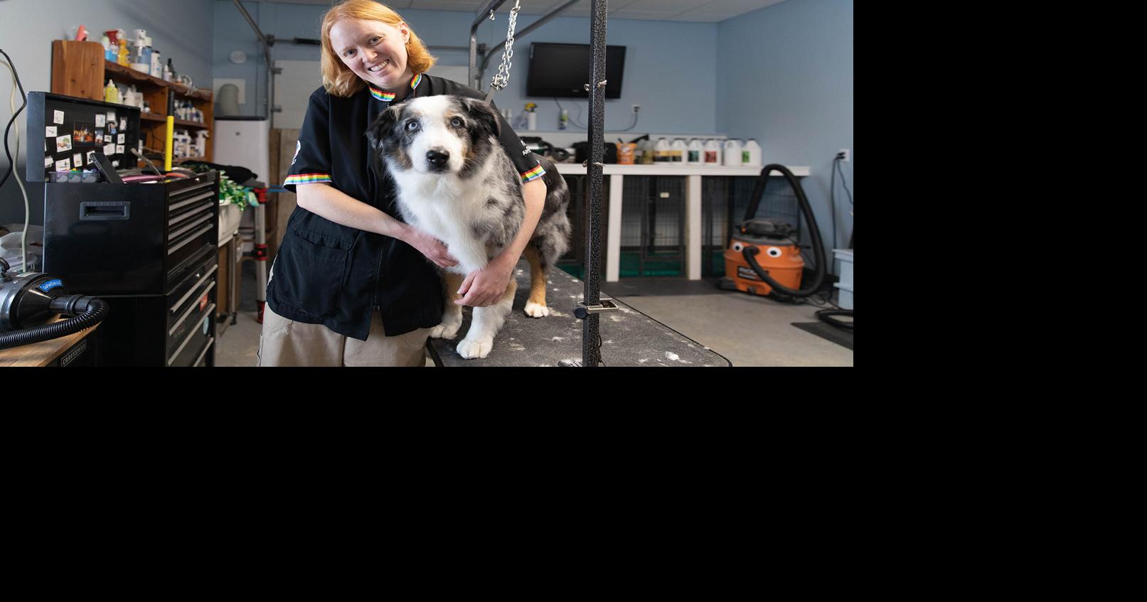 Small Business Startup: Creative Styles Pet Grooming | Small Business ...