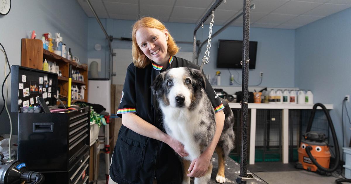 Small Business Startup: Creative Styles Pet Grooming | Small Business ...