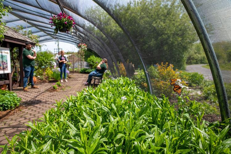 Council axes funding for Thompson Park, Zoo New York and sidewalk work