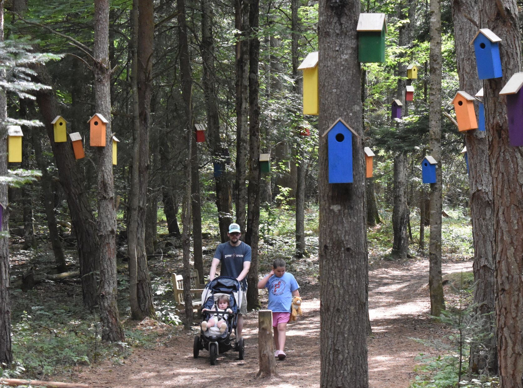 Franklin County's The Wild Center attraction had record season