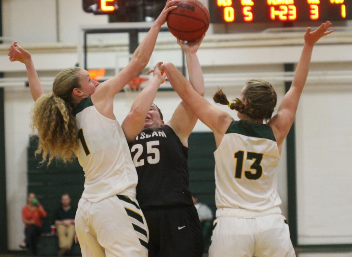 Clarkson Women S Basketball Turns Back Suny Potsdam Sports