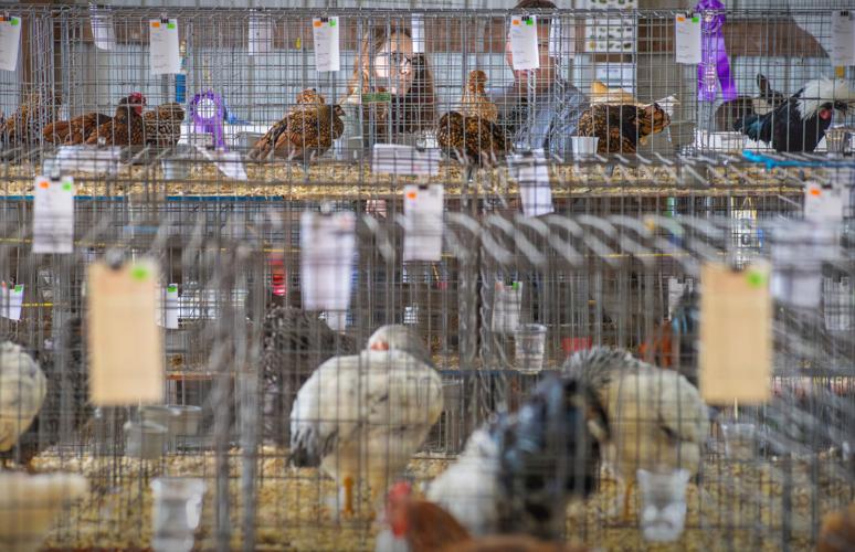 PHOTOS First day of Gouverneur and St. Lawrence County Fair