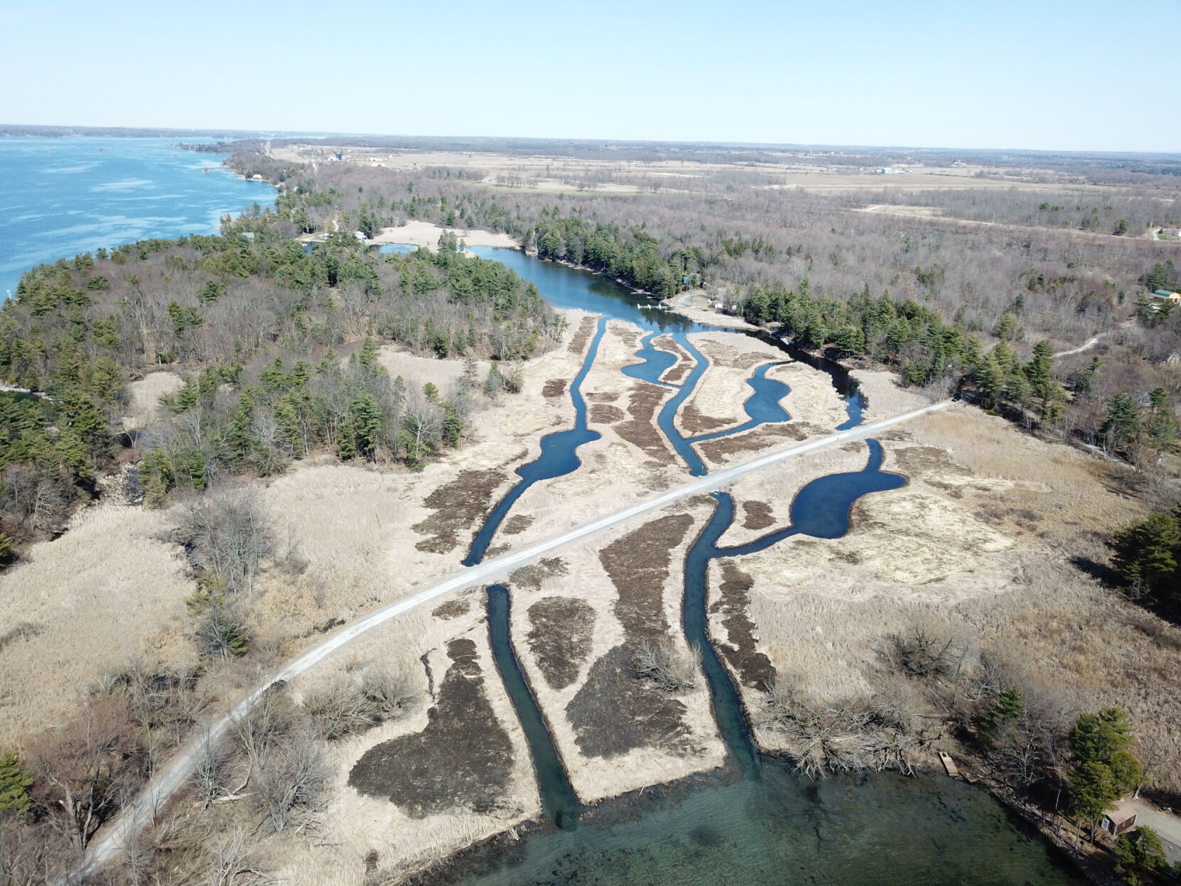 Water flow through Blind Bay wetlands restored in private, public partnership - Vimarsana News