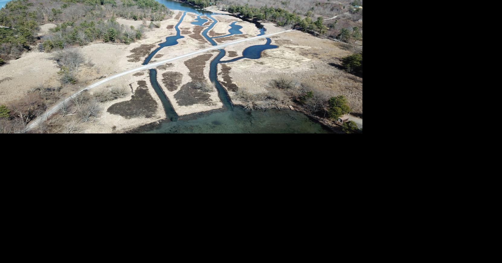 Water flow through Blind Bay wetlands restored in private, public