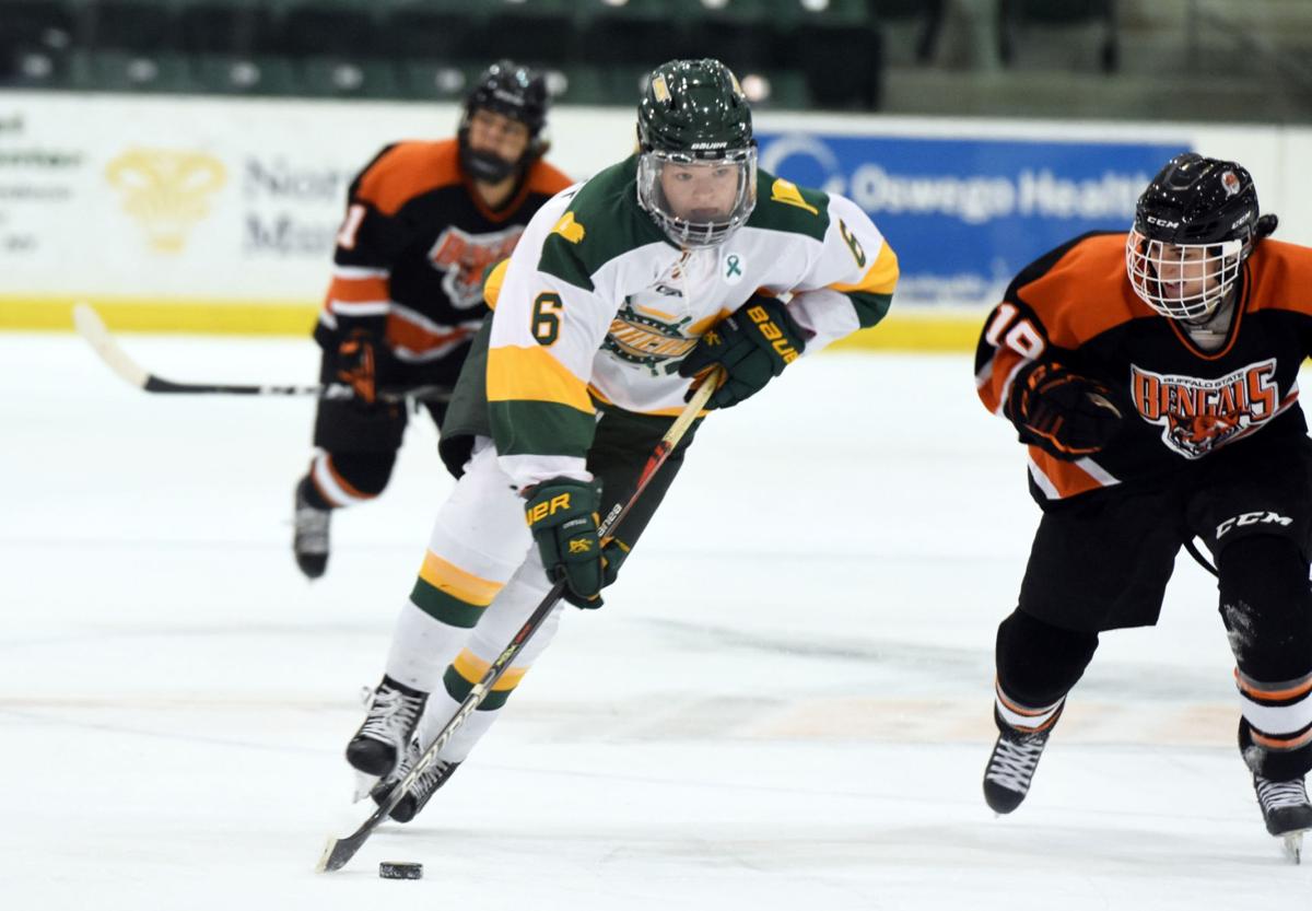 College Women S Hockey Lakers Conclude Resurgent Campaign Oswego County Nny360 Com