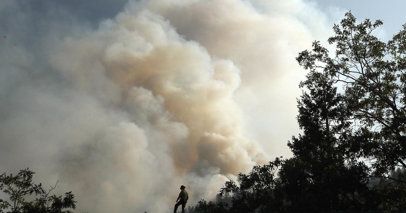 Former criminology professor pleads guilty to igniting four wildfires in 2021 - Vimarsana News