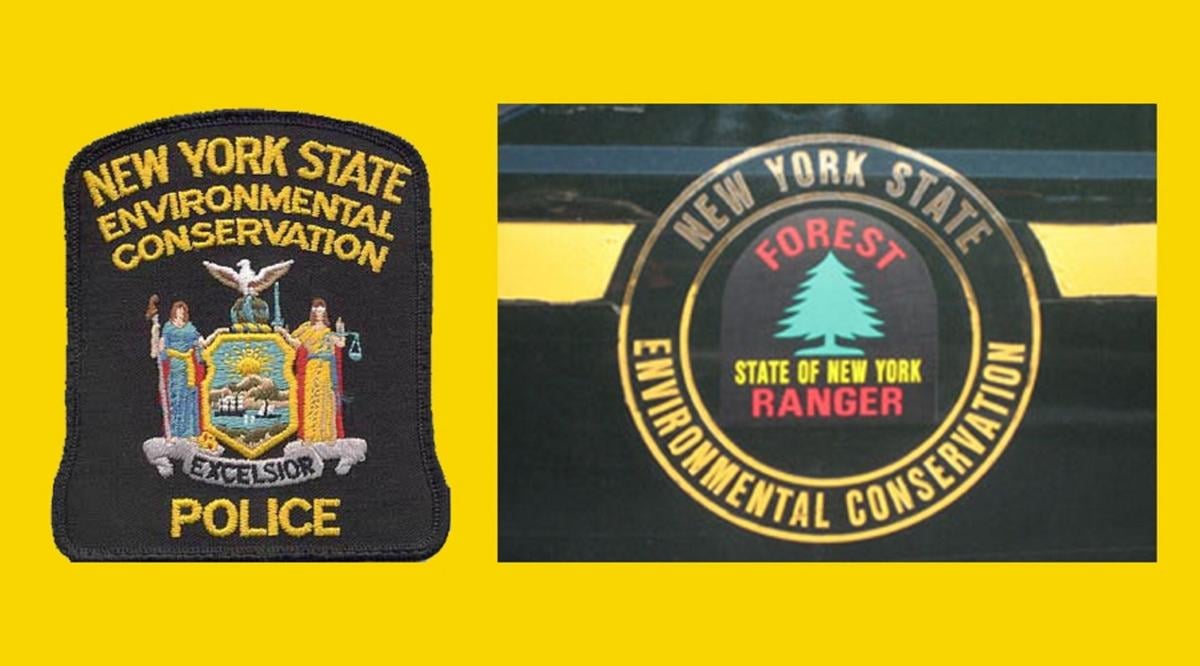 Ny state department environmental conservation jobs