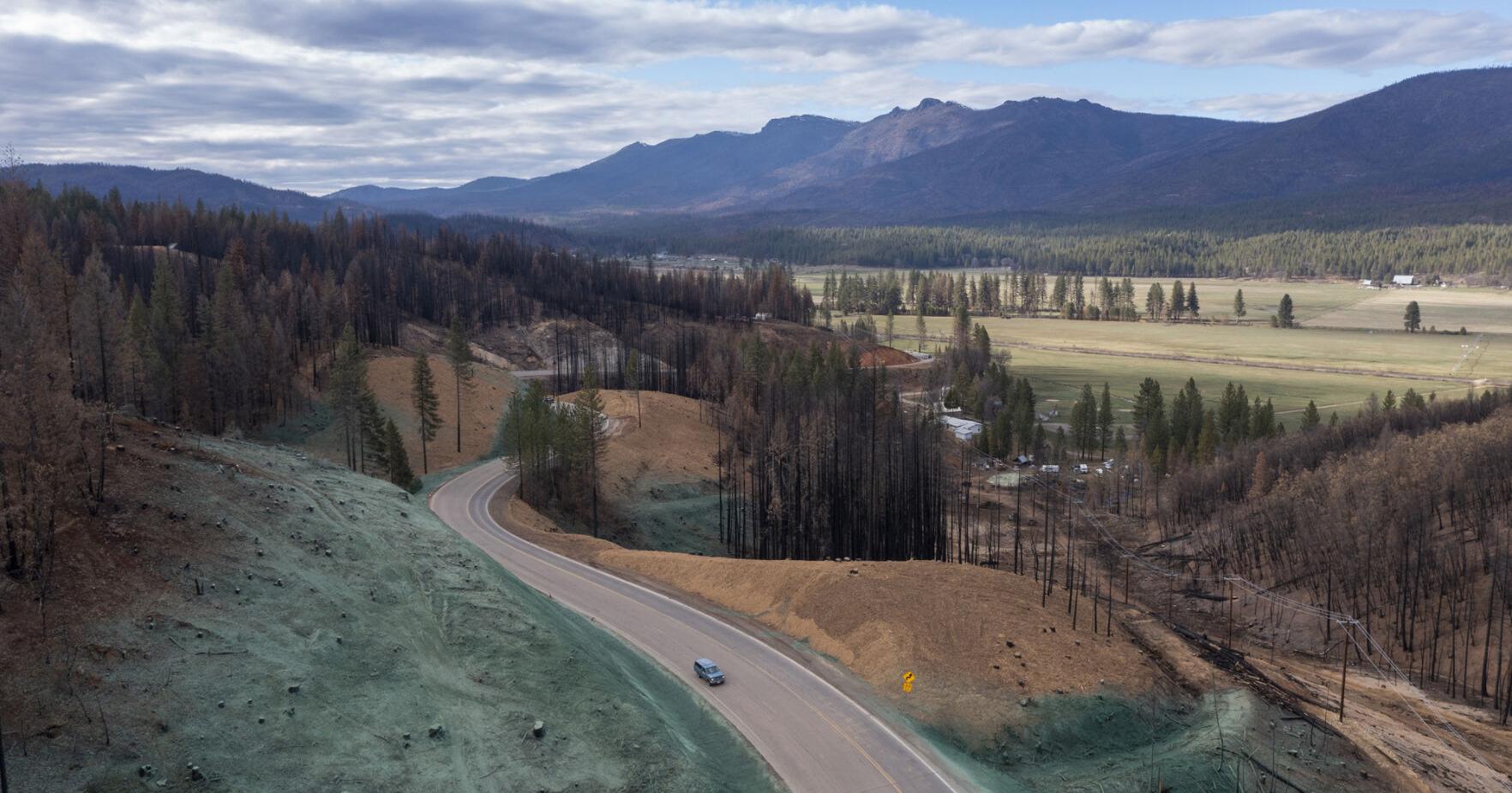 California forests are vanishing burn larger and more intensely - Vimarsana News