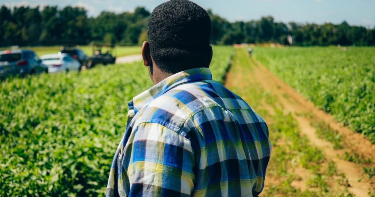 Programs help vets dig into agriculture | Home and Garden