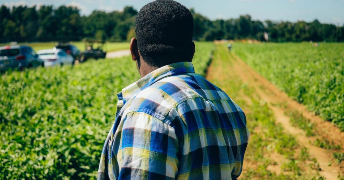 Programs help vets dig into agriculture | Home and Garden Programs help vets dig into agriculture | Home and Garden