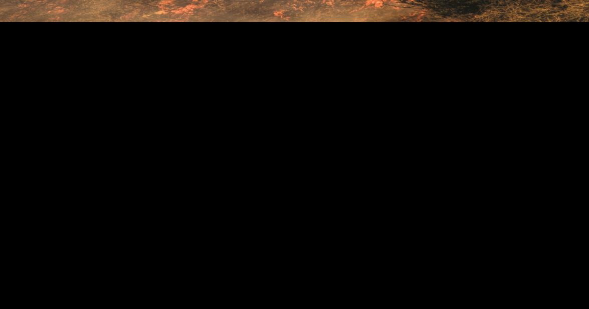 Burn ban in effect throughout New York state Oswego County