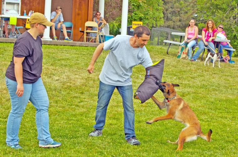Veterans Memorial Park goes to the dogs News