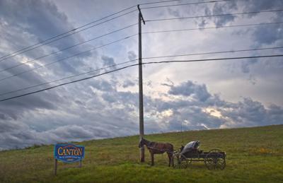Buggy weather