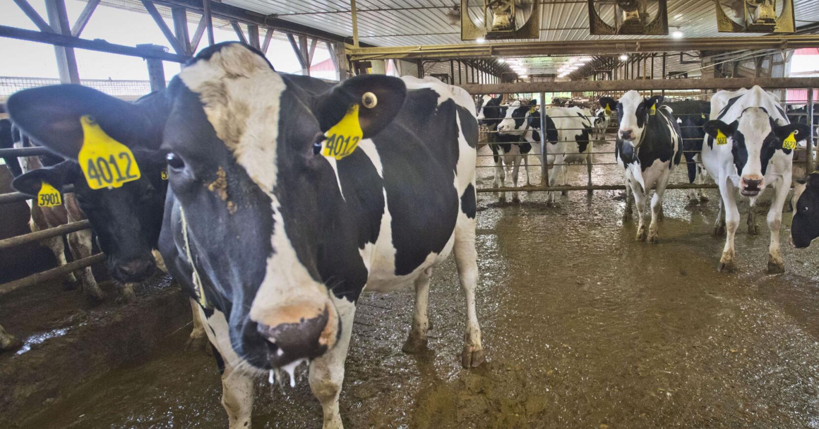 Editorial: Farm preservation acts Legislature passing bills to correct problems that state created - Vimarsana News