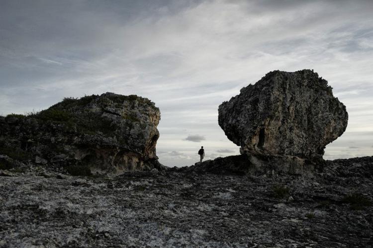 Scientists Study On Rooks Scientists study mysterious rocks | News | nny360.com