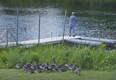 Fishing with an audience