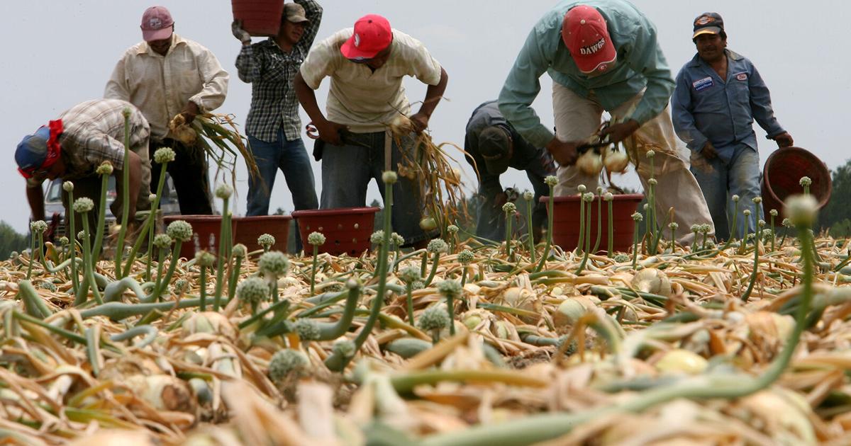 Trendy slavery uncovered in South Georgia | information Trendy slavery uncovered in South Georgia | information