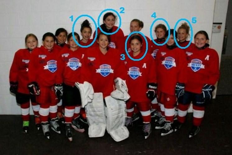 College hockey Five former St. Lawrence Shiver players make up record