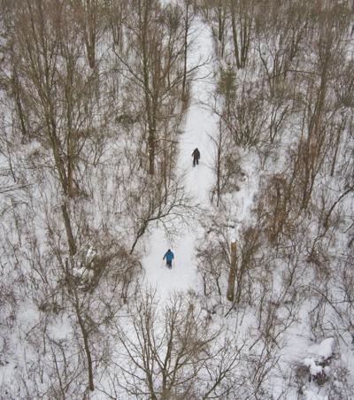 Steady pace in the snow