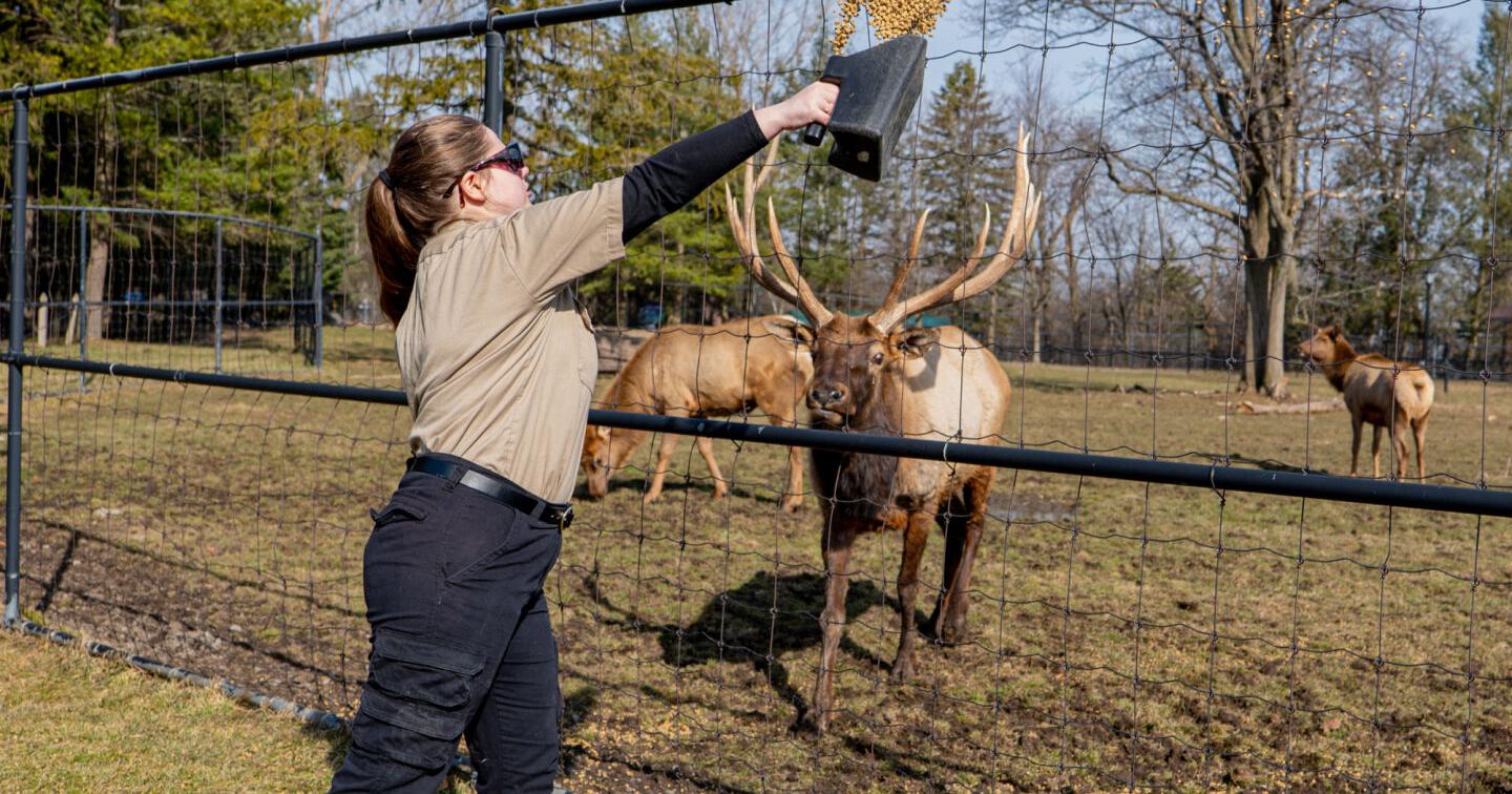Jefferson Community College students helping out at Zoo New York - Vimarsana News