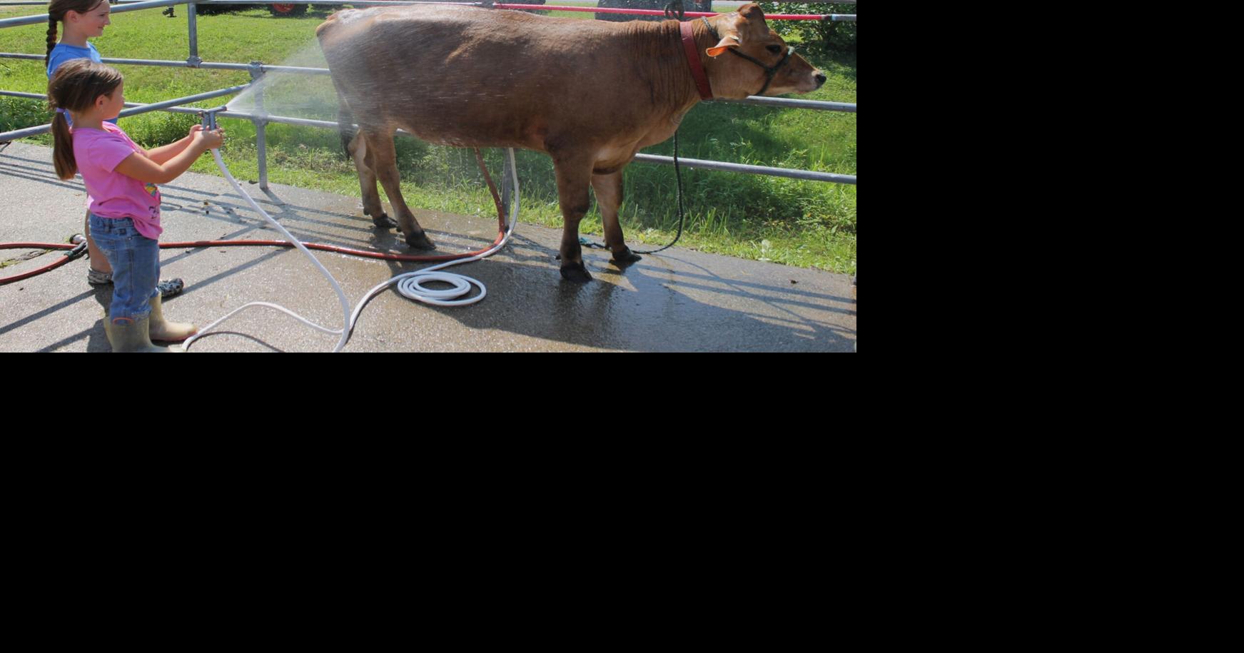 Gouverneur and St. Lawrence County Fair underway