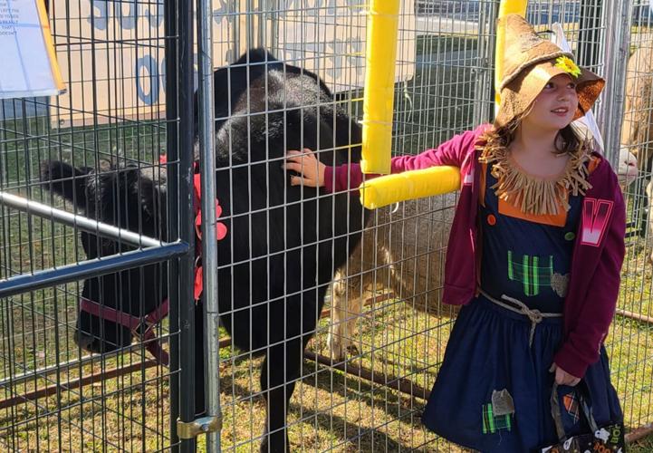 Ogdensburg hosts Maple City Fall Fest Kidscontent