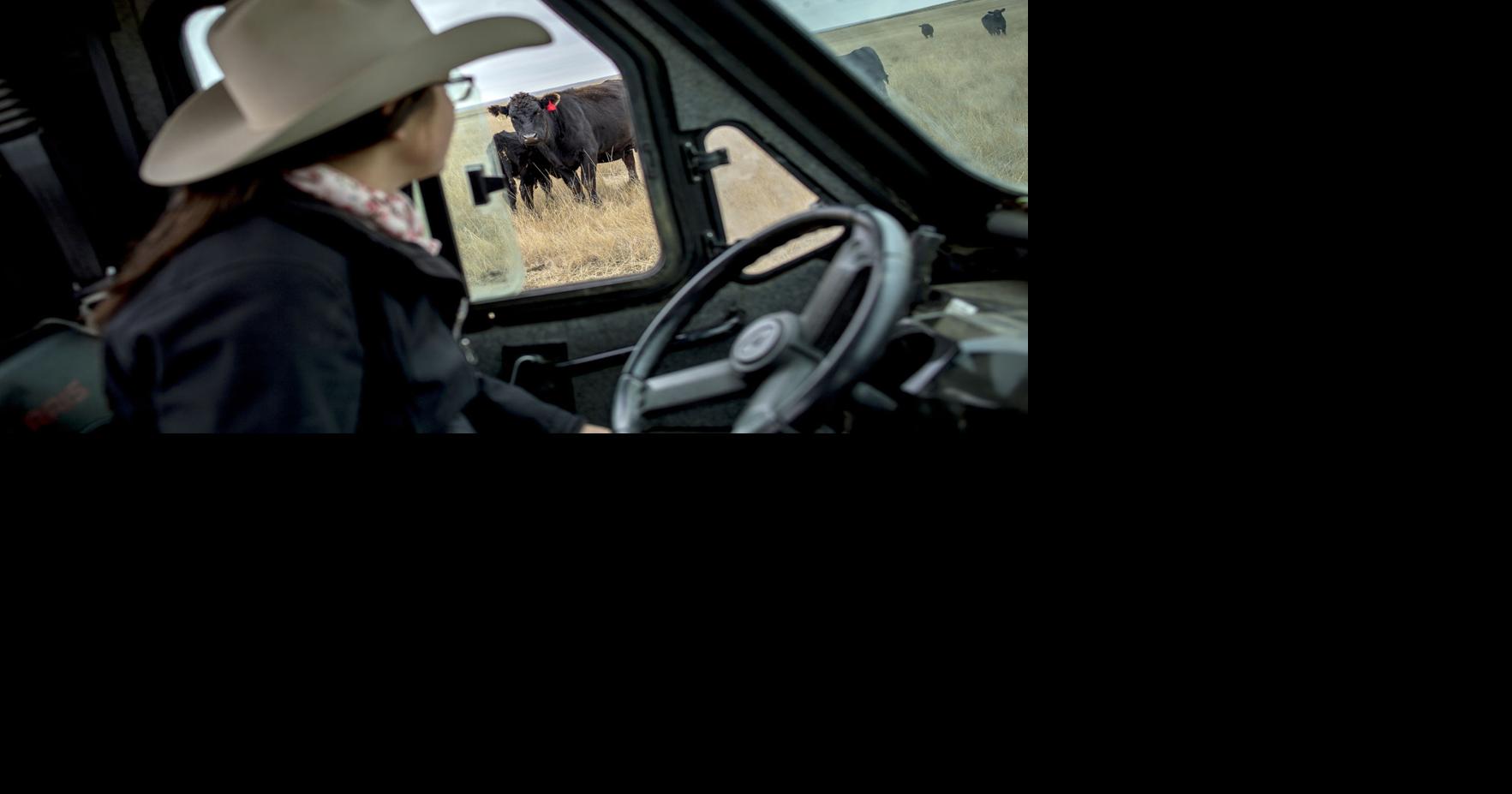 Female ranchers reclaiming West | News | nny360.com