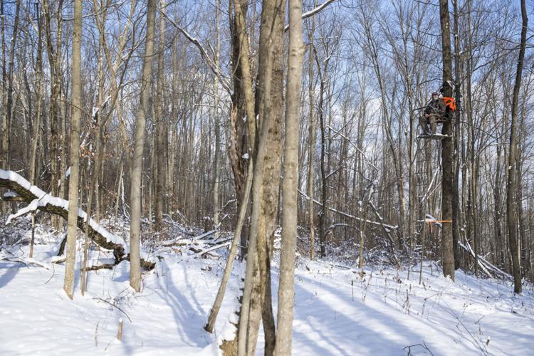 Treestand risk big for hunters News