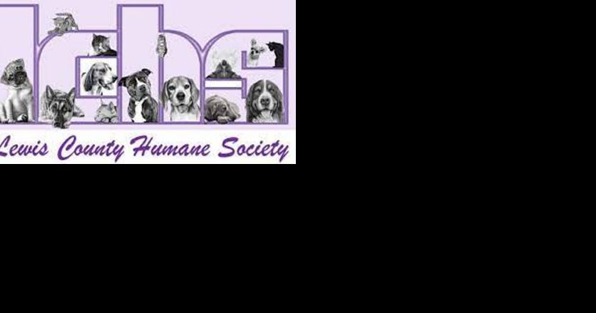 Petco Love to invest $5K in Lewis County Humane Society - Vimarsana News