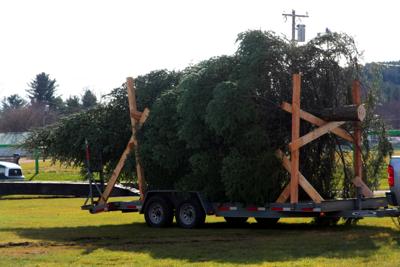 Tree arrives for forthcoming festivities in Franklin County