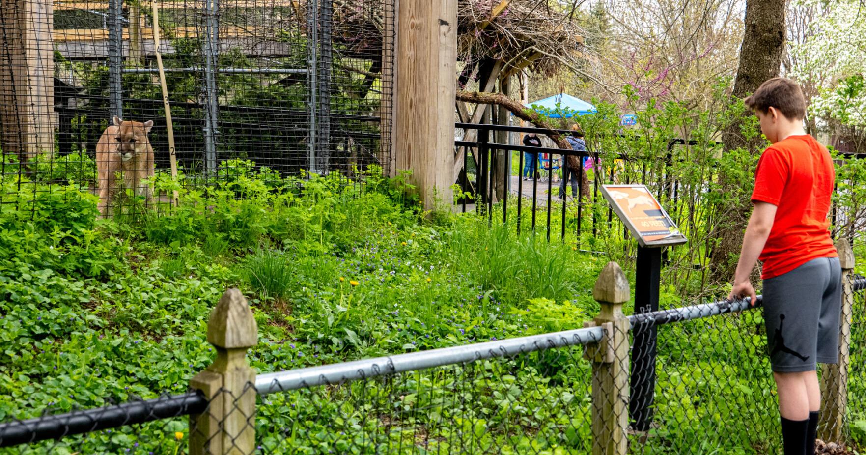 Zoo New York receiving $250,000 from city - Vimarsana News