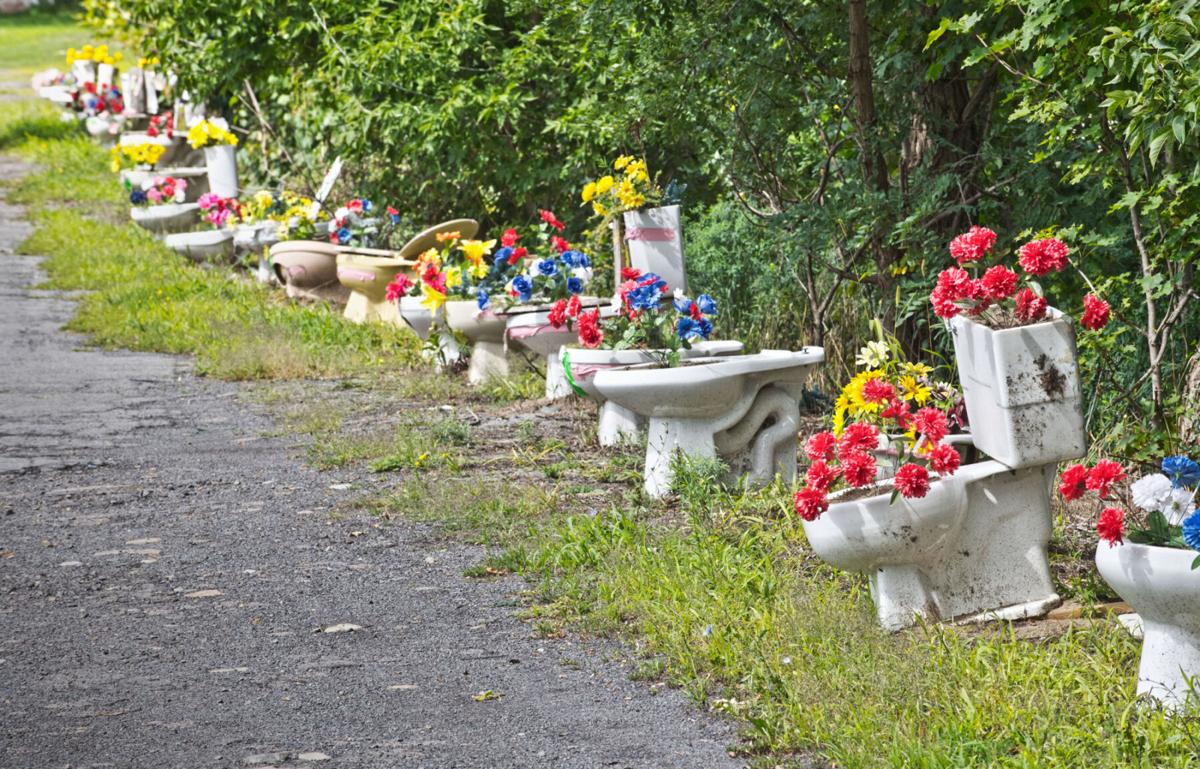 Lawyers for owner of Potsdam’s ‘toilet gardens’ update suit after judge