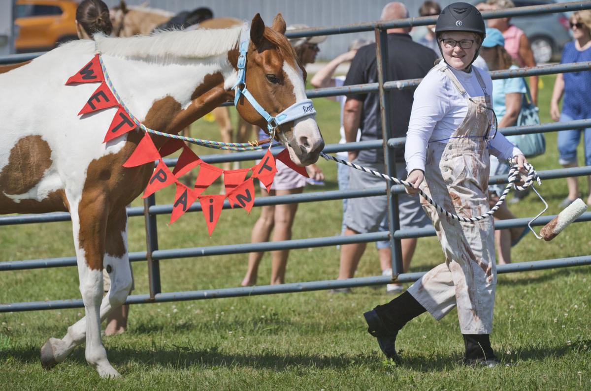 Gouverneur and St. Lawrence County Fair kicks off July 30 Agriculture