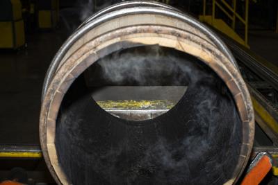 Lack of trees will soon have bourbon industry over a barrel