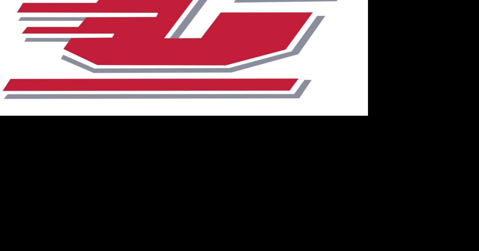 High school roundup: Four wrestlers capture individual titles as Carthage places second in Hudson Falls