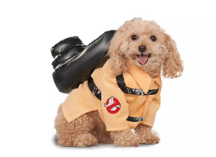 Five fetching Halloween costumes for dogs, Pets